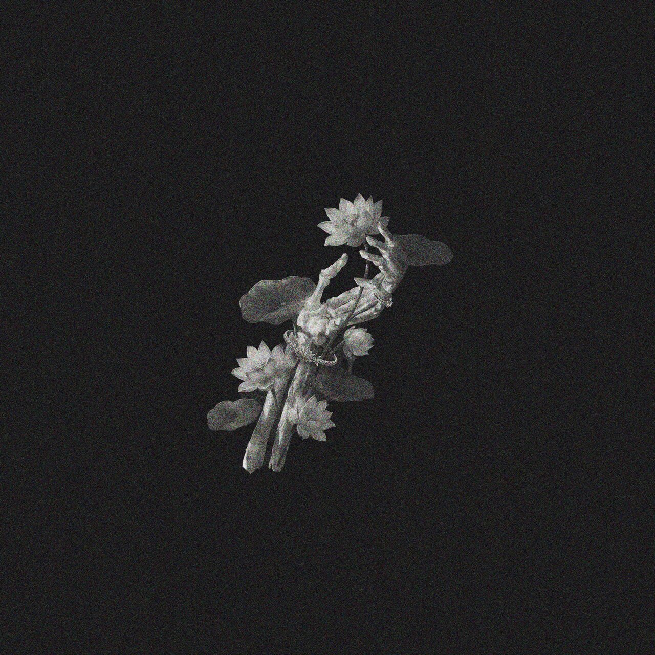 A Thousand Years